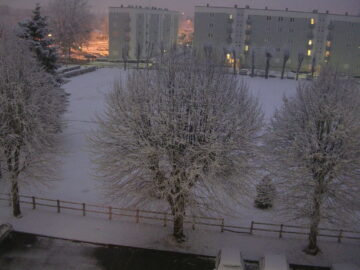 DSCN2656