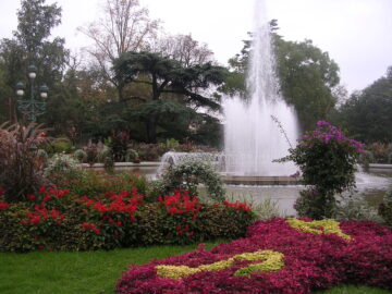 DSCN5365