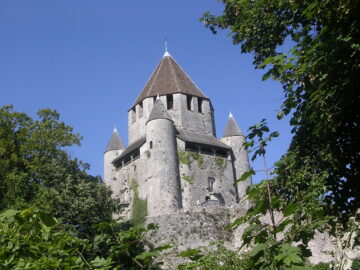DSCN7978